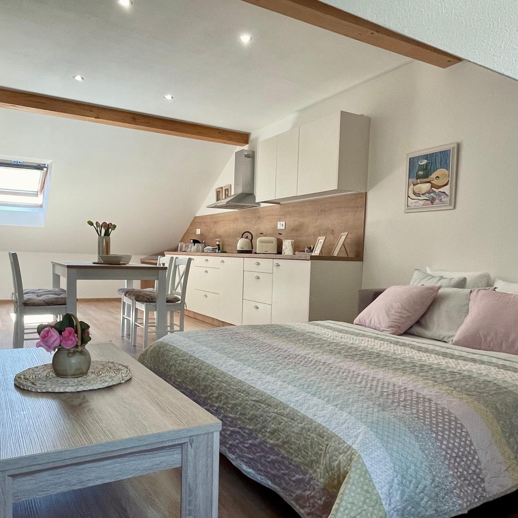 Apartmany Basta & Wellness Sušice 외부 사진