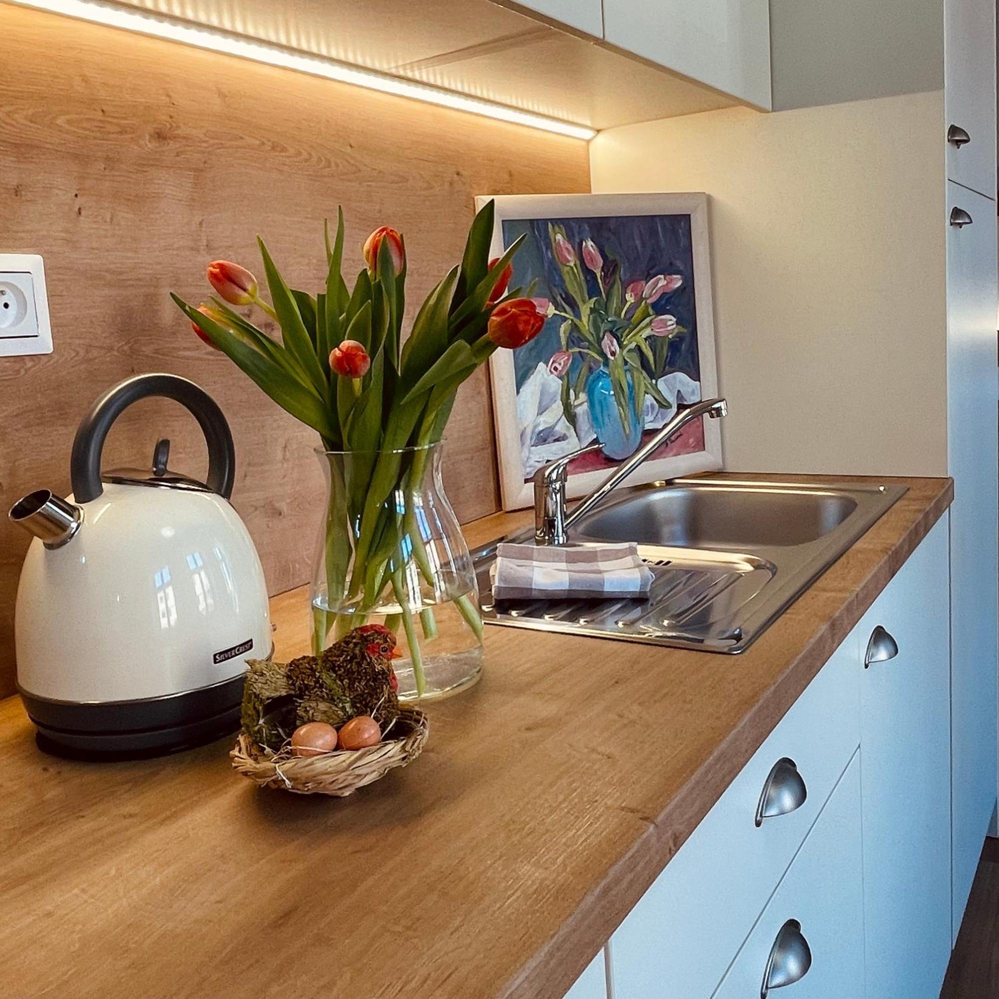 Apartmany Basta & Wellness Sušice 외부 사진